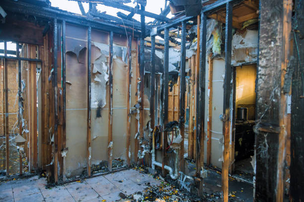 Professional Smoke Damage Removal technician working in Vernon Hills, IL